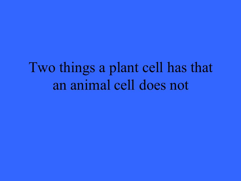 Two things a plant cell has that an animal cell does not
