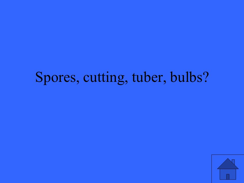 Spores, cutting, tuber, bulbs