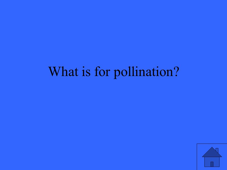 What is for pollination