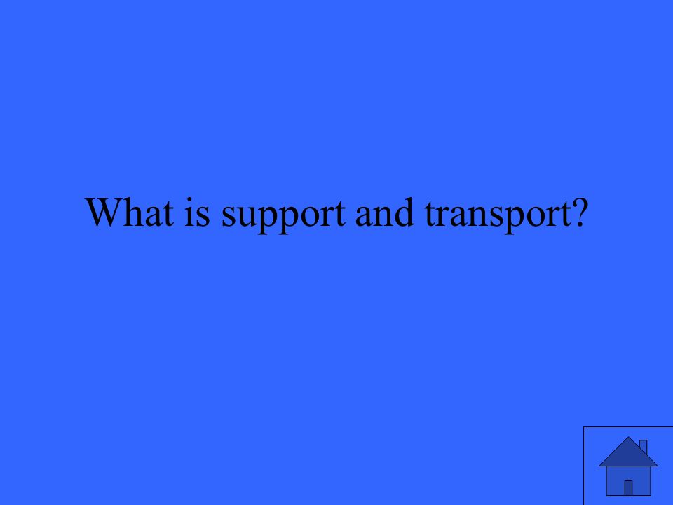What is support and transport