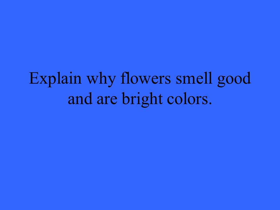 Explain why flowers smell good and are bright colors.