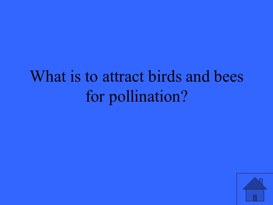 What is to attract birds and bees for pollination