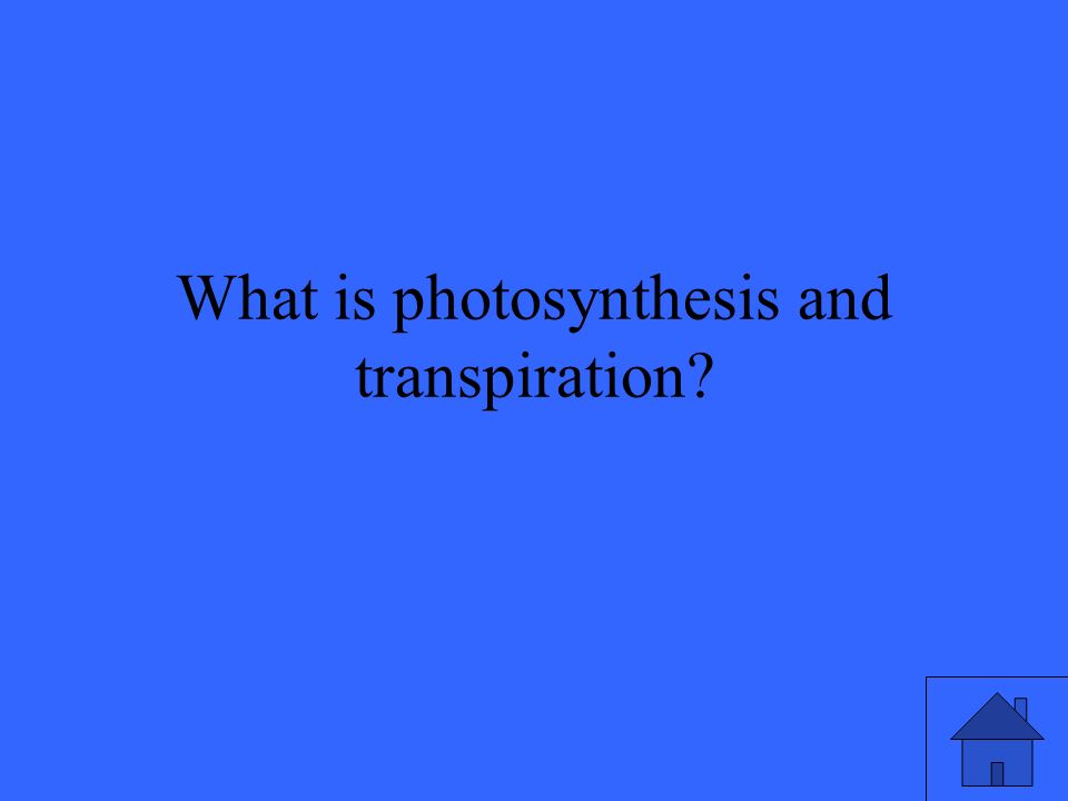 What is photosynthesis and transpiration