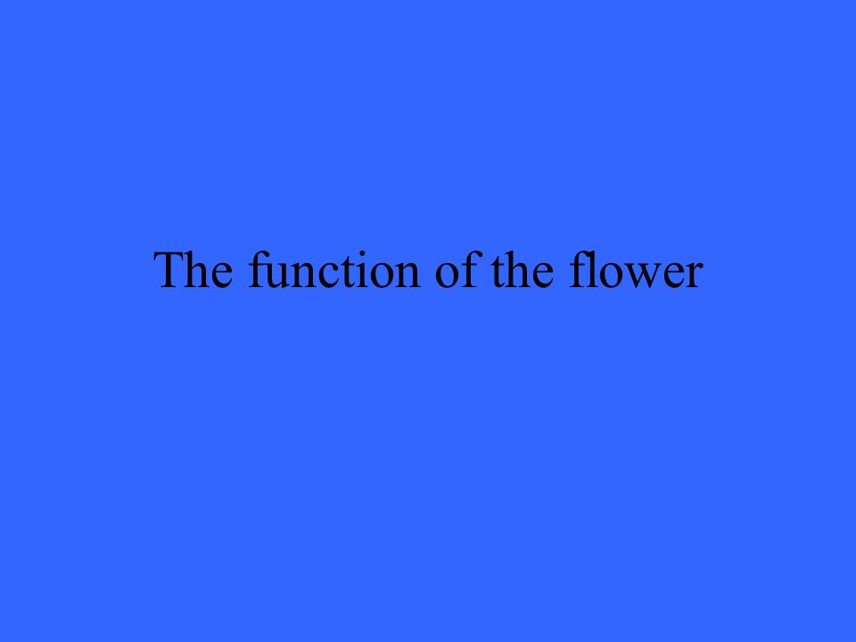 The function of the flower