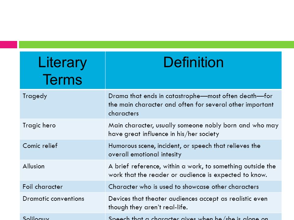 Essay Literary Term