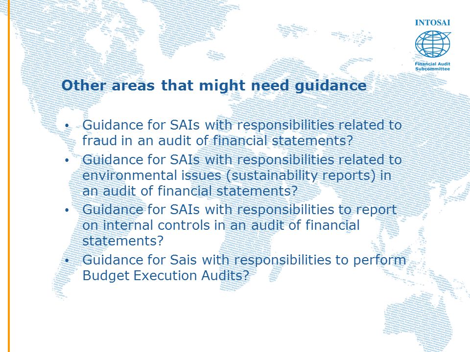Other areas that might need guidance Guidance for SAIs with responsibilities related to fraud in an audit of financial statements.