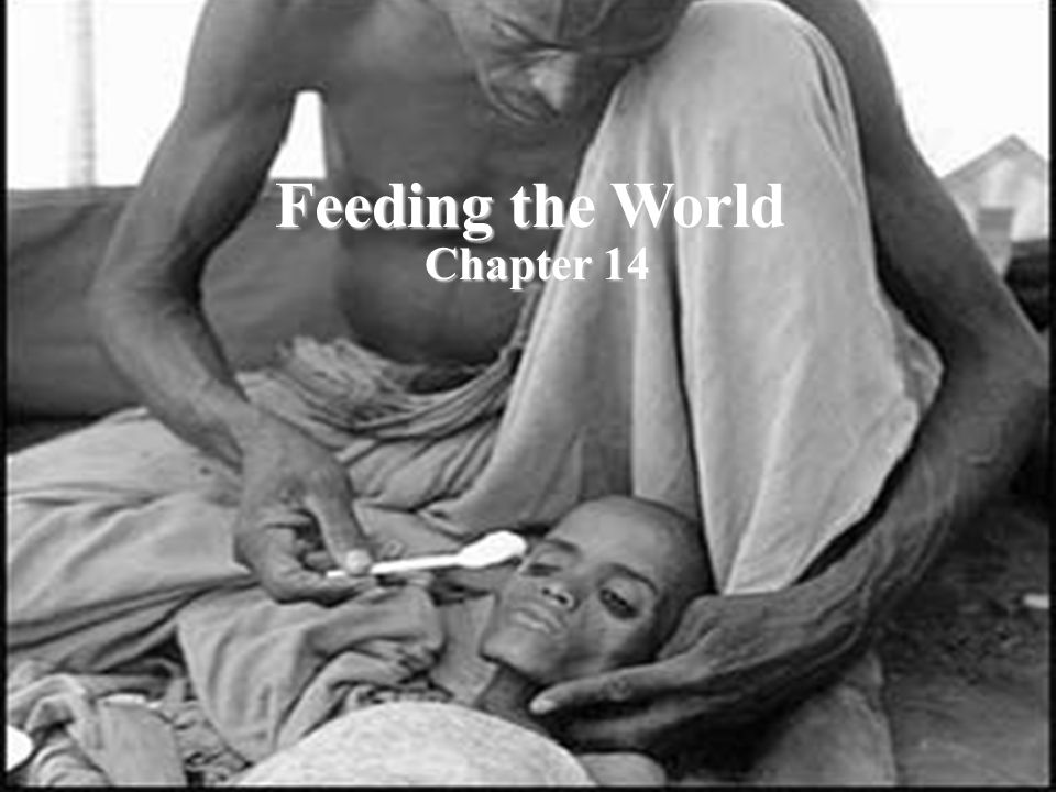 Feeding the World Chapter 14 Feeding the World Chapter 14