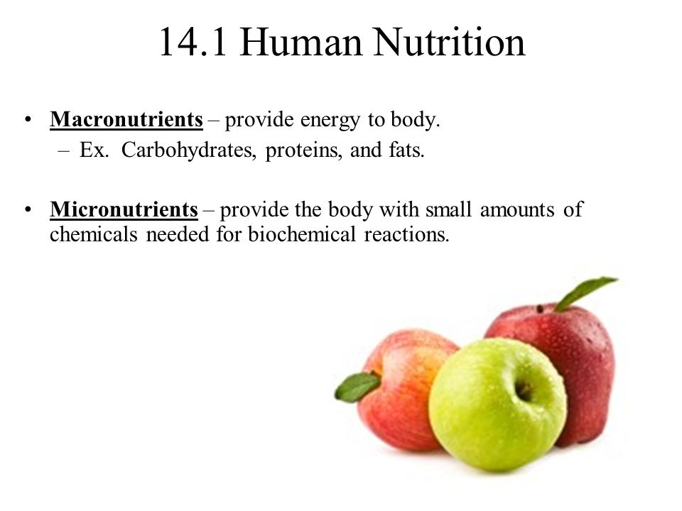 14.1 Human Nutrition Macronutrients – provide energy to body.