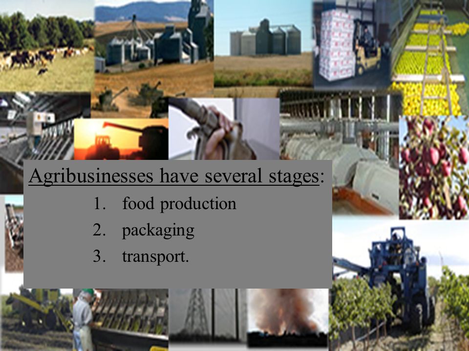 Agribusinesses have several stages: 1.food production 2.packaging 3.transport.