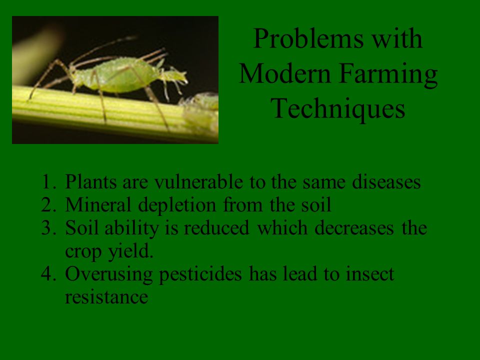 Problems with Modern Farming Techniques 1.Plants are vulnerable to the same diseases 2.Mineral depletion from the soil 3.Soil ability is reduced which decreases the crop yield.