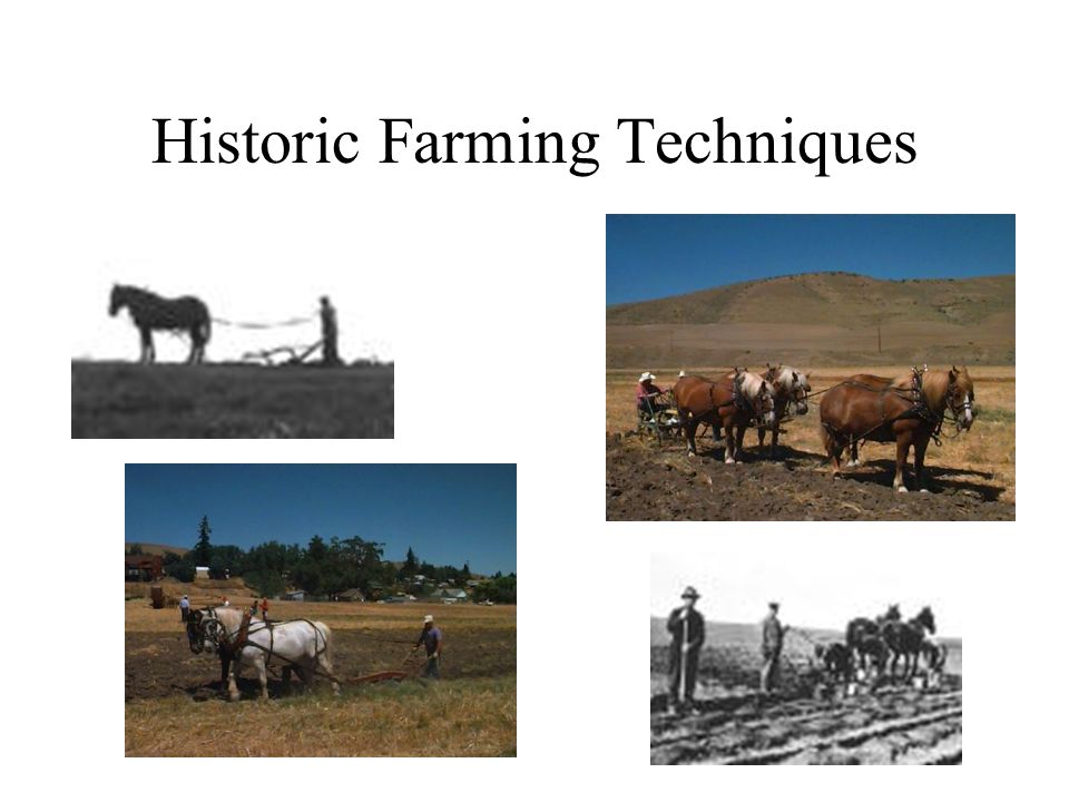 Historic Farming Techniques