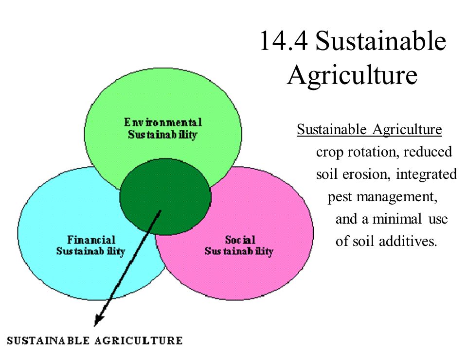14.4 Sustainable Agriculture Sustainable Agriculture crop rotation, reduced soil erosion, integrated pest management, and a minimal use of soil additives.