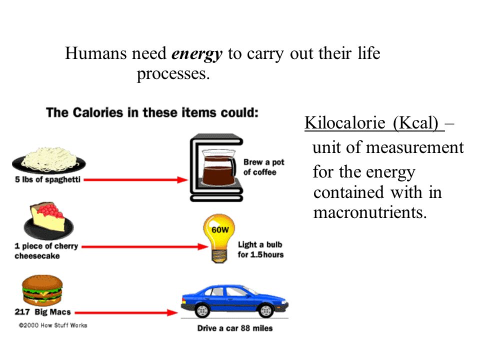 Humans need energy to carry out their life processes.