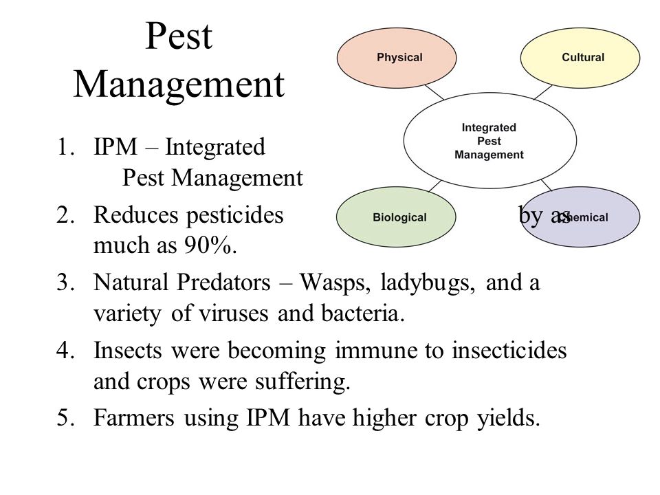 Pest Management 1.IPM – Integrated Pest Management 2.Reduces pesticides by as much as 90%.