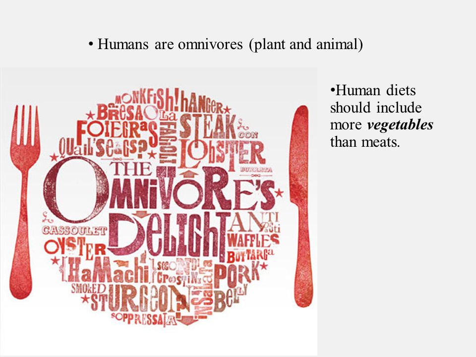 Humans are omnivores (plant and animal) Human diets should include more vegetables than meats.