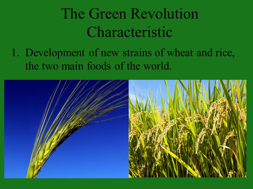 1.Development of new strains of wheat and rice, the two main foods of the world.