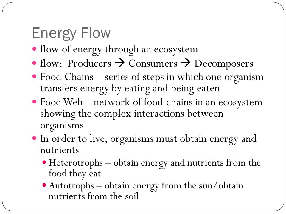 Energy Flow flow of energy through an ecosystem flow: Producers  Consumers  Decomposers Food Chains – series of steps in which one organism transfers energy by eating and being eaten Food Web – network of food chains in an ecosystem showing the complex interactions between organisms In order to live, organisms must obtain energy and nutrients Heterotrophs – obtain energy and nutrients from the food they eat Autotrophs – obtain energy from the sun/obtain nutrients from the soil