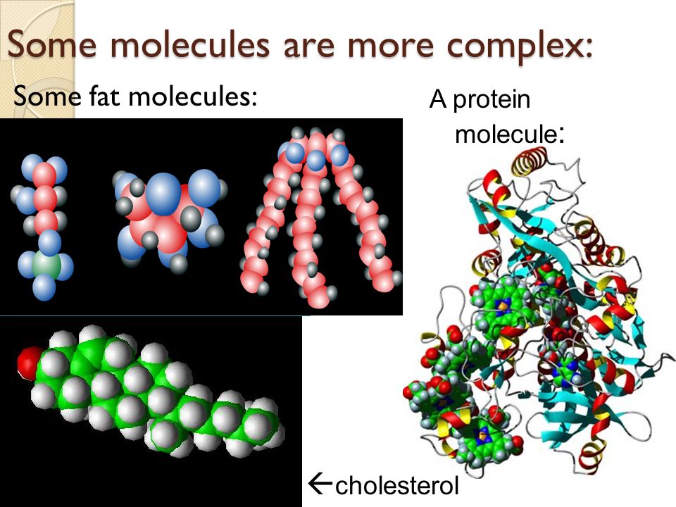 Some molecules are more complex: Some fat molecules: A protein molecule :  cholesterol