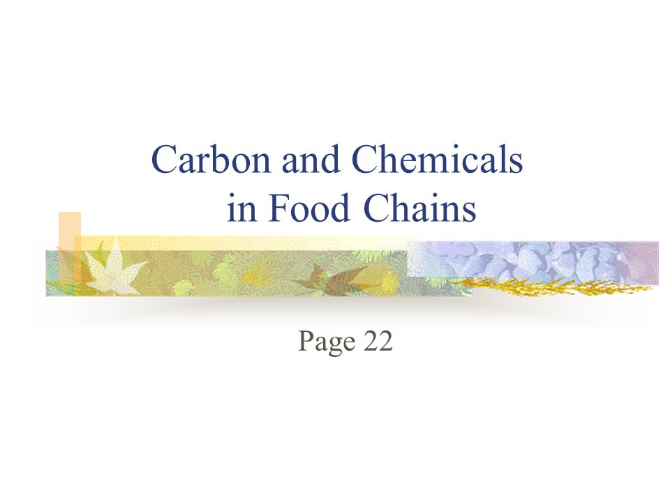 Carbon and Chemicals in Food Chains Page 22