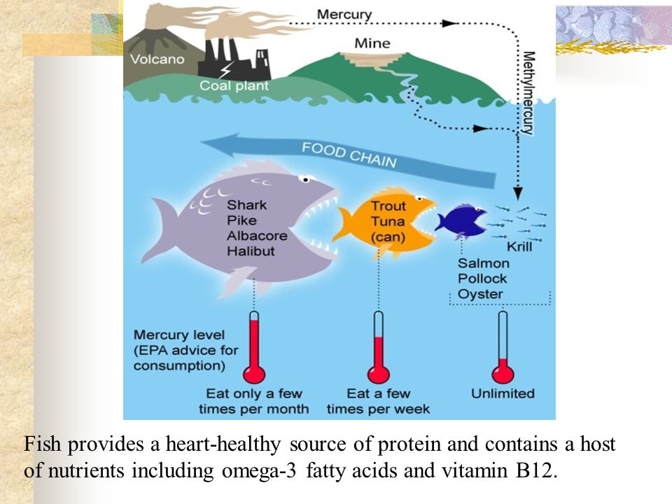 Fish provides a heart-healthy source of protein and contains a host of nutrients including omega-3 fatty acids and vitamin B12.