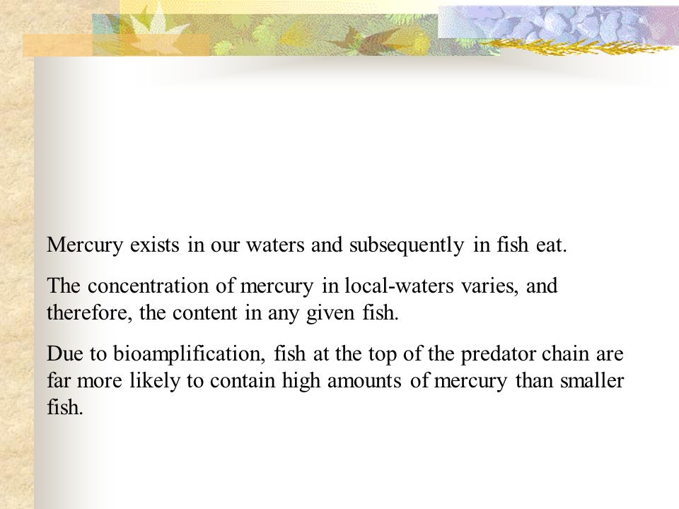 Mercury exists in our waters and subsequently in fish eat.