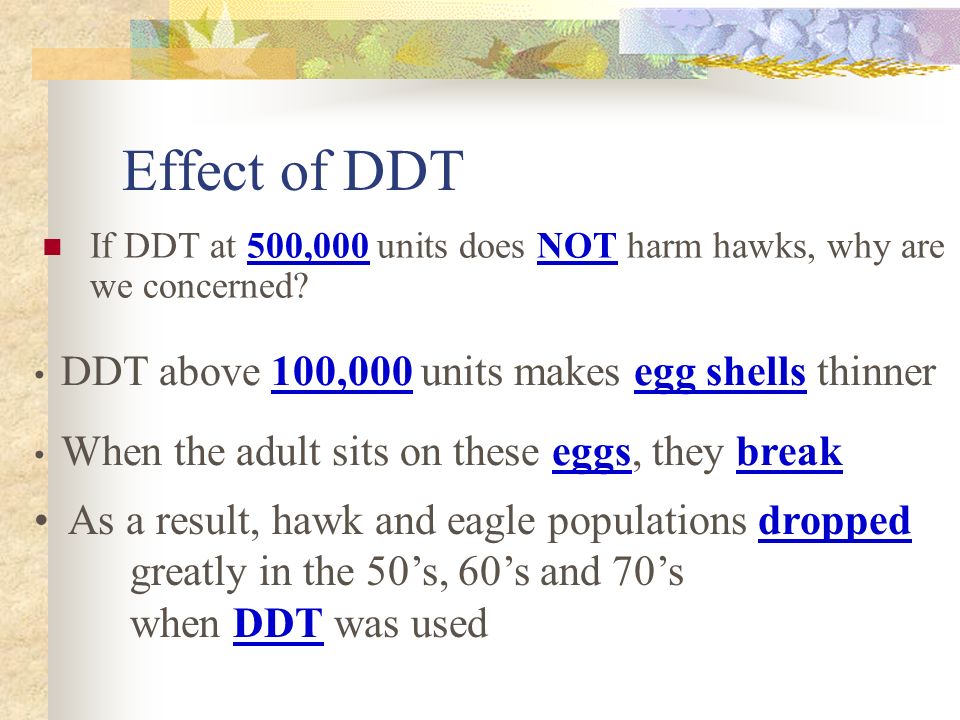 Effect of DDT If DDT at 500,000 units does NOT harm hawks, why are we concerned.