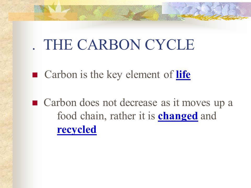 . THE CARBON CYCLE Carbon is the key element of life Carbon does not decrease as it moves up a food chain, rather it is changed and recycled