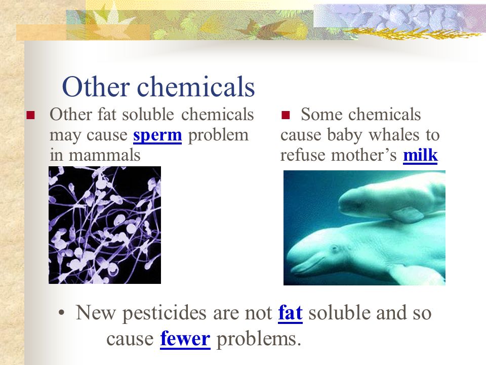 Other chemicals Other fat soluble chemicals may cause sperm problem in mammals New pesticides are not fat soluble and so cause fewer problems.