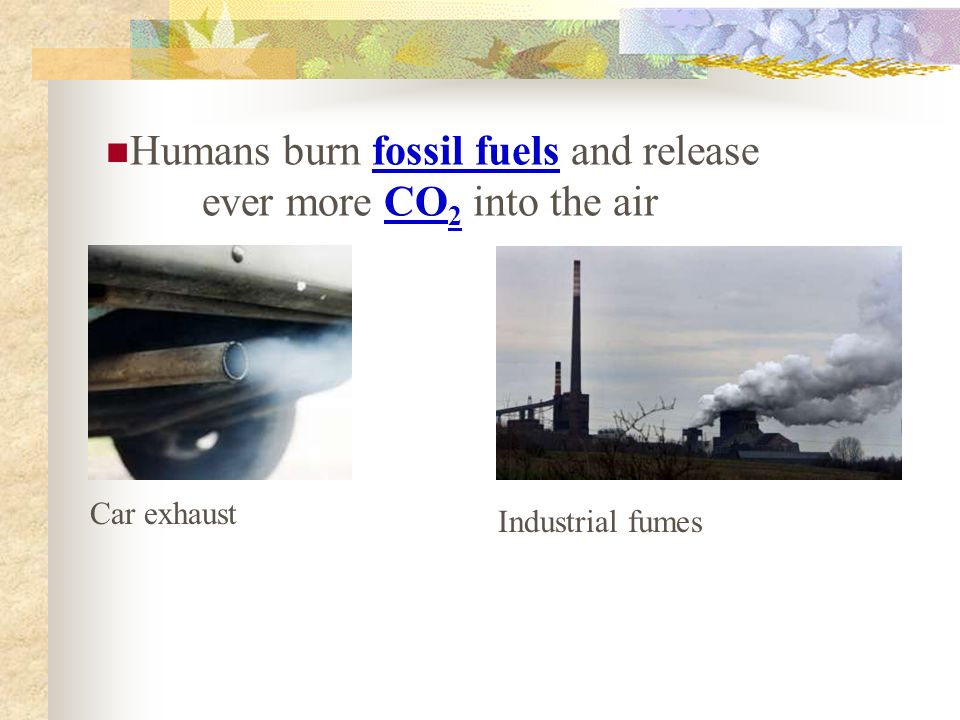 Humans burn fossil fuels and release ever more CO 2 into the air Car exhaust Industrial fumes