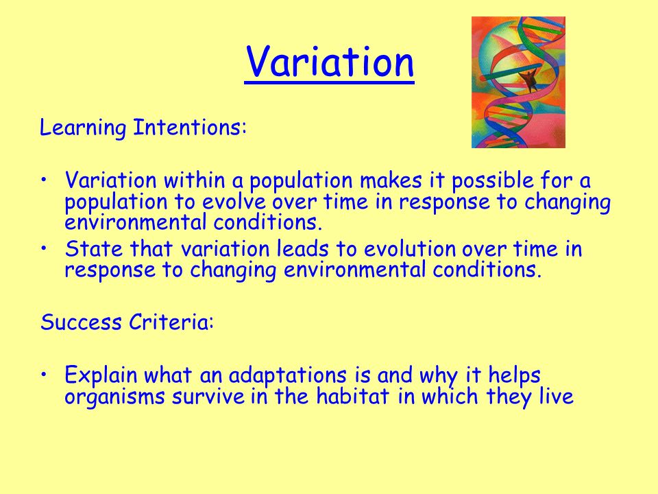 Variation Learning Intentions: Variation within a population makes it possible for a population to evolve over time in response to changing environmental conditions.
