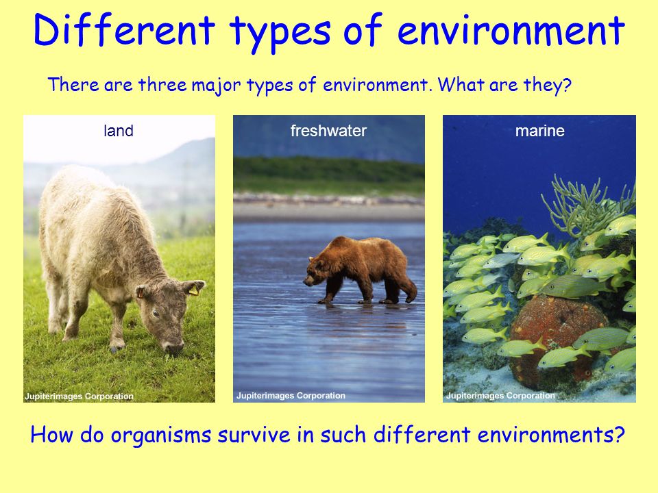 There are three major types of environment. What are they.