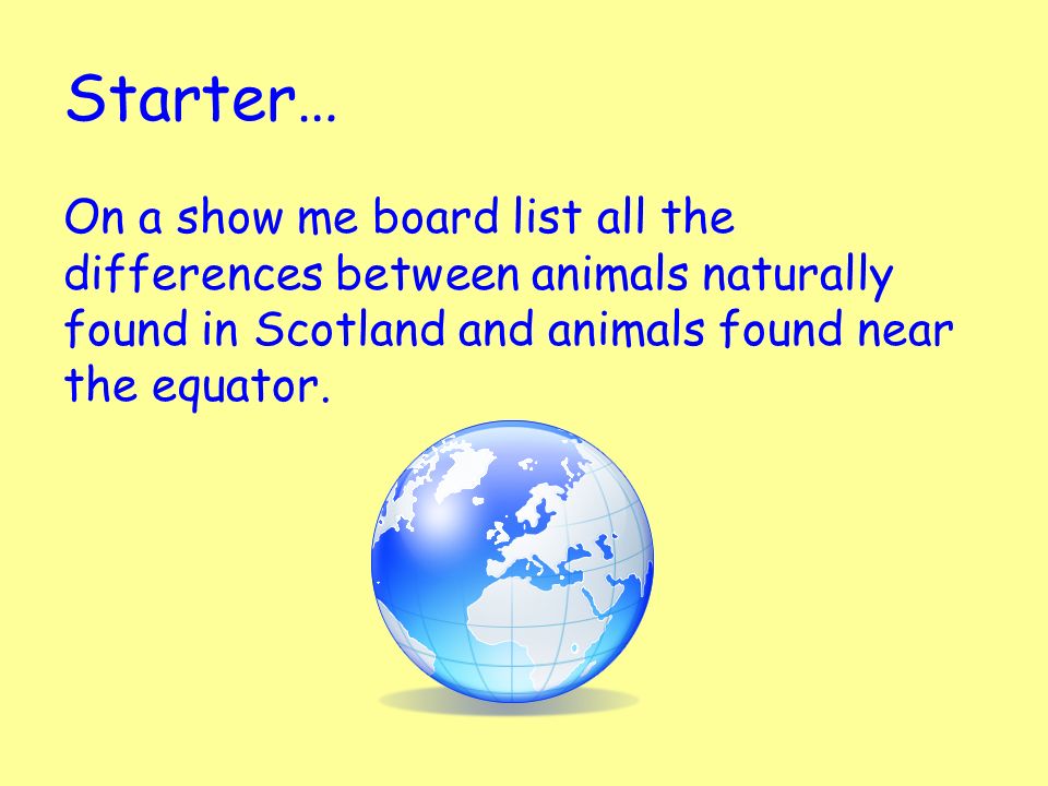 Starter… On a show me board list all the differences between animals naturally found in Scotland and animals found near the equator.