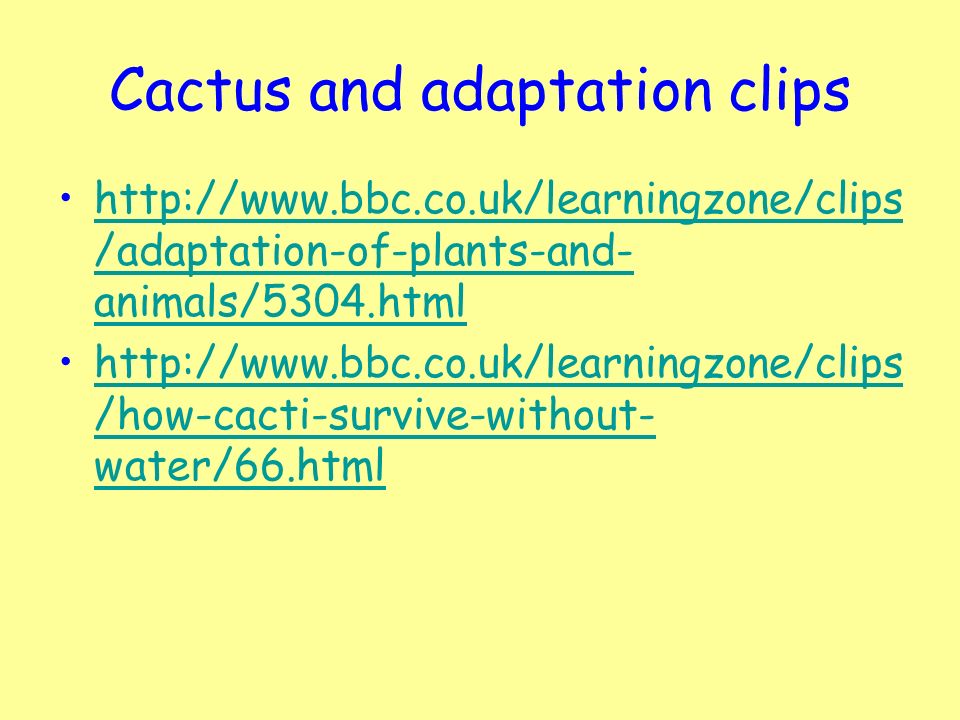 Cactus and adaptation clips   /adaptation-of-plants-and- animals/5304.htmlhttp://  /adaptation-of-plants-and- animals/5304.html   /how-cacti-survive-without- water/66.htmlhttp://  /how-cacti-survive-without- water/66.html