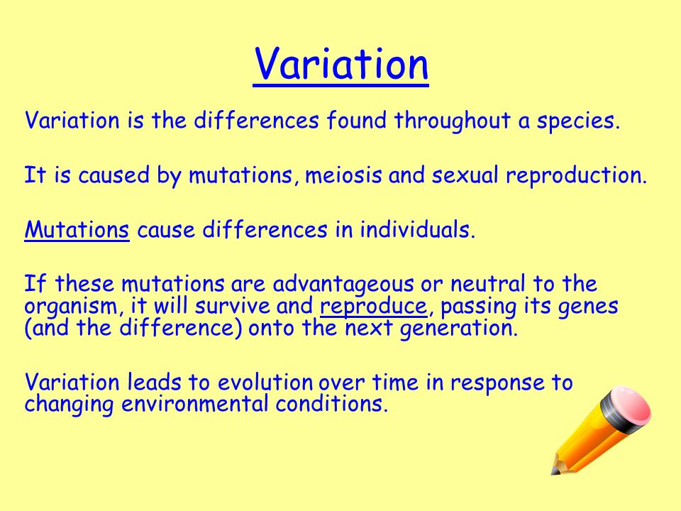 Variation Variation is the differences found throughout a species.