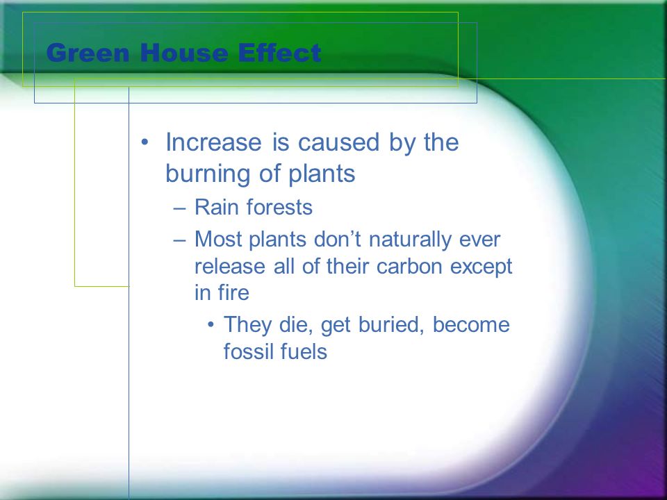 Green House Effect Increase is caused by the burning of plants –Rain forests –Most plants don’t naturally ever release all of their carbon except in fire They die, get buried, become fossil fuels