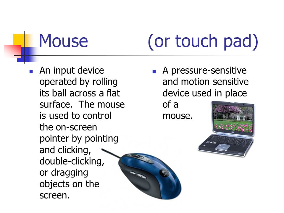 Mouse (or touch pad) An input device operated by rolling its ball across a flat surface.