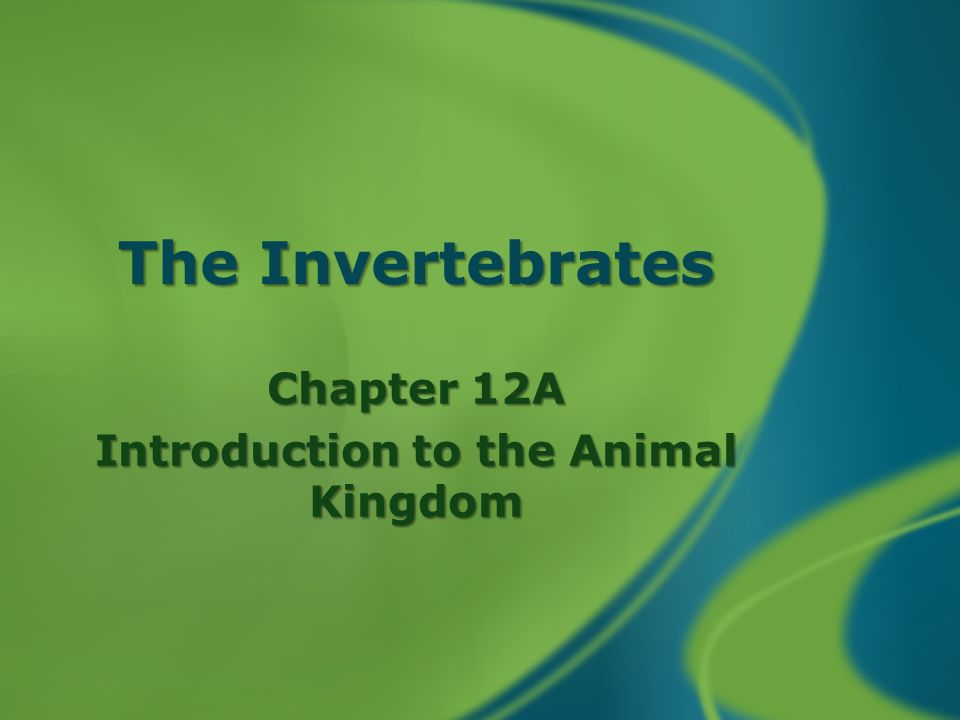 The Invertebrates Chapter 12A Introduction to the Animal Kingdom