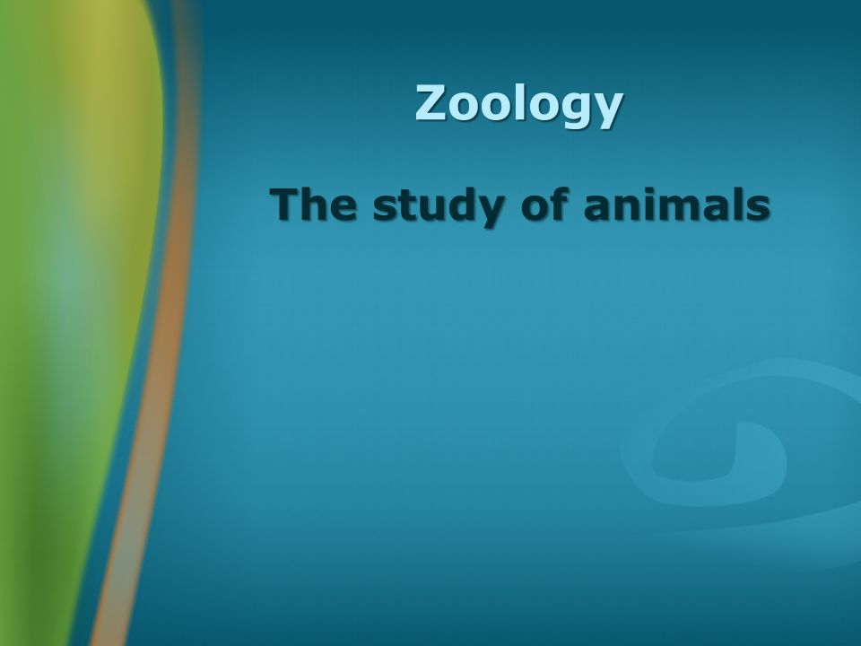 Zoology The study of animals