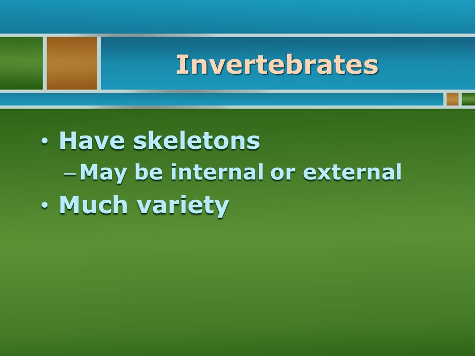 Invertebrates Have skeletons Have skeletons – May be internal or external Much variety Much variety