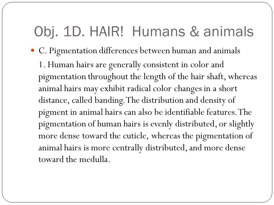 difference between human and animal language Http wwwfacetofaceinterculturalcomau blog language the-difference-between-animal-and-human-language the difference between animal and human language in. difference between human and animal language Http wwwfacetofaceinterculturalcomau blog language the-difference-between-animal-and-human-language the difference between animal and human language in.