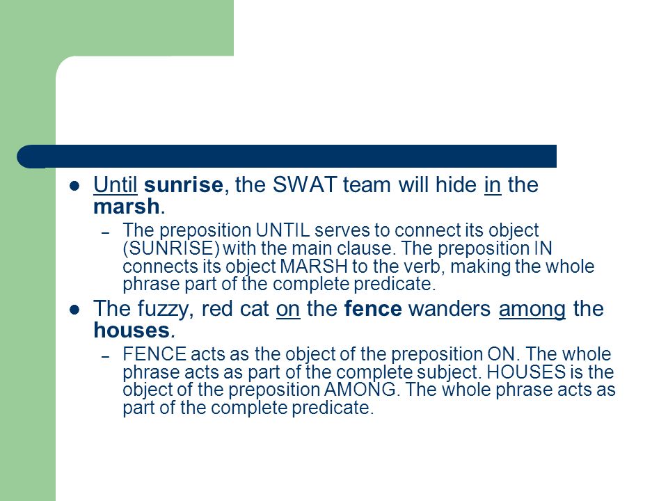 Until sunrise, the SWAT team will hide in the marsh.