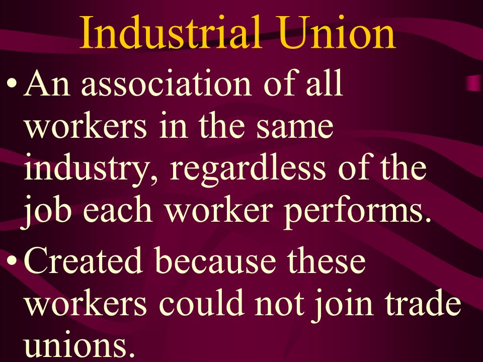 Industrial Union An association of all workers in the same industry, regardless of the job each worker performs.
