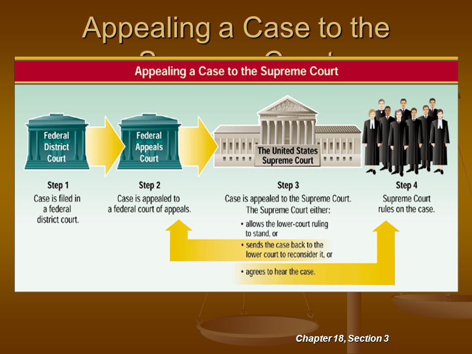 Appealing a Case to the Supreme Court Chapter 18, Section 3