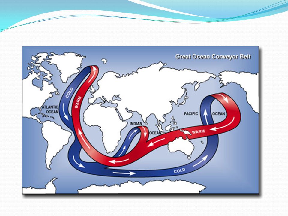 Ocean currents carry warm water from the equators along the surface of the ocean to the poles, where it cools and sinks.