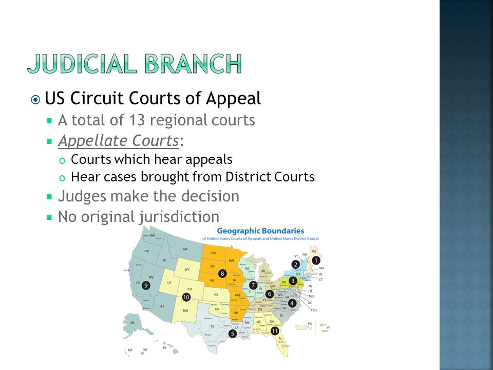  US Circuit Courts of Appeal  A total of 13 regional courts  Appellate Courts: Courts which hear appeals Hear cases brought from District Courts  Judges make the decision  No original jurisdiction