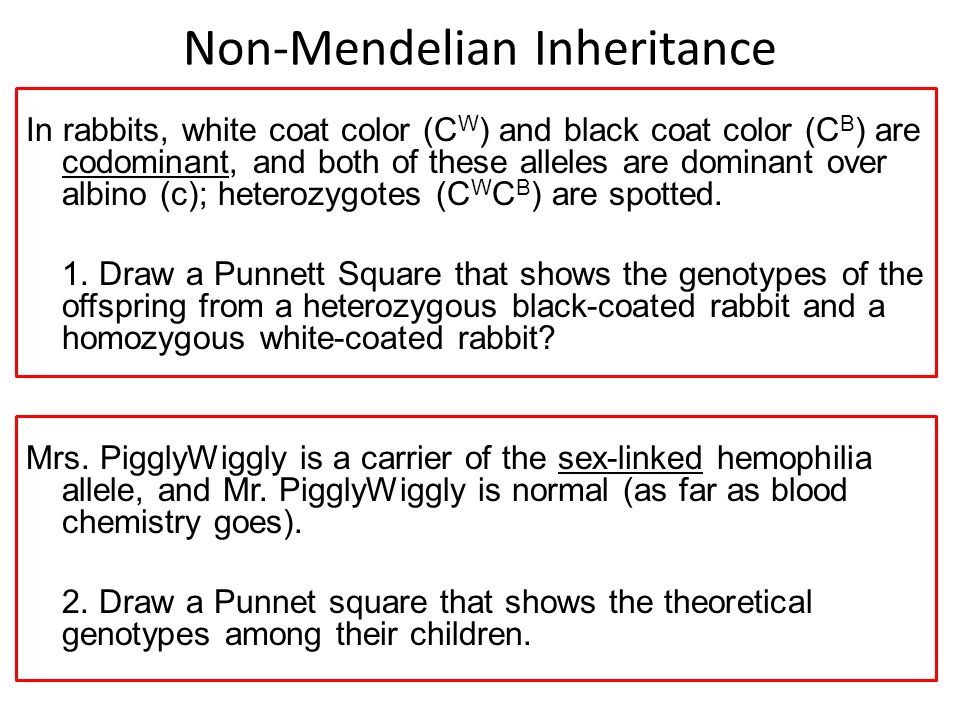 Mendelian Genetics Worksheet Worksheets For School Mendelian Genetics Worksheet Katinabags Com