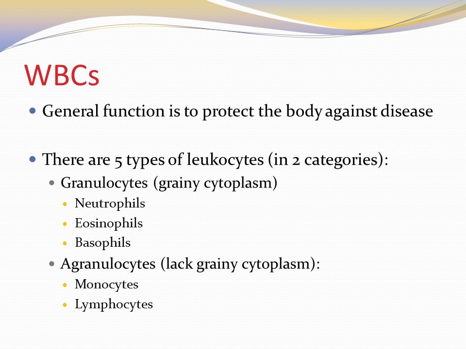 WBCs General function is to protect the body against disease There are 5 types of leukocytes (in 2 categories): Granulocytes (grainy cytoplasm) Neutrophils Eosinophils Basophils Agranulocytes (lack grainy cytoplasm): Monocytes Lymphocytes