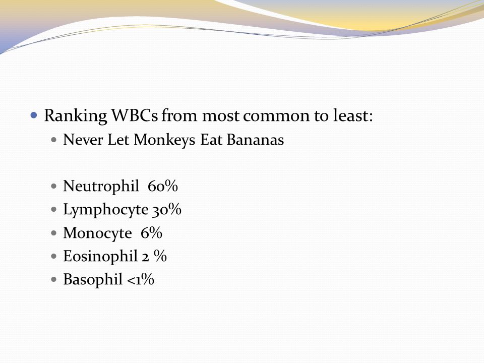 Ranking WBCs from most common to least: Never Let Monkeys Eat Bananas Neutrophil 60% Lymphocyte 30% Monocyte 6% Eosinophil 2 % Basophil <1%
