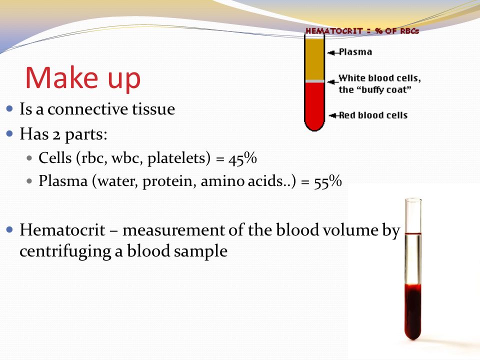 Make up Is a connective tissue Has 2 parts: Cells (rbc, wbc, platelets) = 45% Plasma (water, protein, amino acids..) = 55% Hematocrit – measurement of the blood volume by centrifuging a blood sample