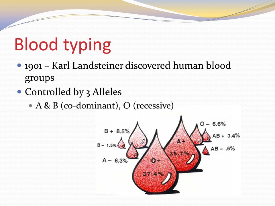 Blood typing 1901 – Karl Landsteiner discovered human blood groups Controlled by 3 Alleles A & B (co-dominant), O (recessive)